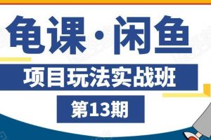 龟课·闲鱼项目玩法实战班第13期，轻松玩转闲鱼，多渠道多方法引流到私域流量池