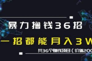 蜘蛛火暴力撸钱36招，共36个赚钱项目价值2000元