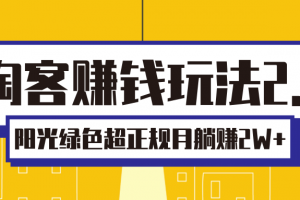 淘客赚钱玩法2.0，阳光绿色超正规项目，月躺赚2W+【视频课程】