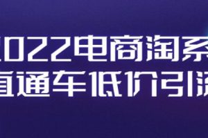 电商淘系《直通车低价引流》视频教程