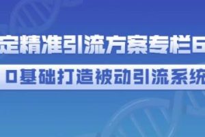 制定精准引流方案专栏6.0，0基础打造被动引流系统