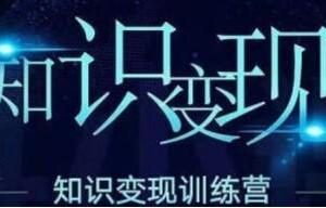 王通《知识变现训练营》第6期录音版