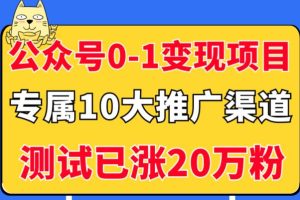 《5个公众号从0-1变现项目》公众号专属10大推广渠道，测试已涨20万粉