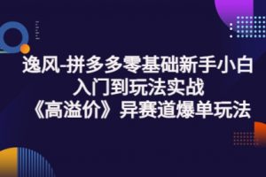 逸风-拼多多零基础新手小白入门到玩法实战《高溢价》异赛道爆单玩法实操课