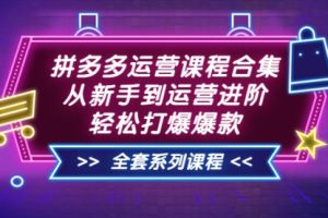 拼多多运营课程合集：从新手到运营进阶，轻松打爆爆款（全套系统课程）