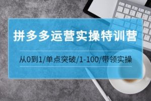 青云:拼多多运营实操特训营：从0到1/单点突破/1-100/带领实操 价值2980元