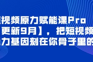 短视频原力赋能课Pro【更新9月】，把短视频能力基因刻在你骨子里的课