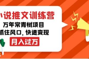 小说推文高端训练营，万年常青树项目，抓住风口