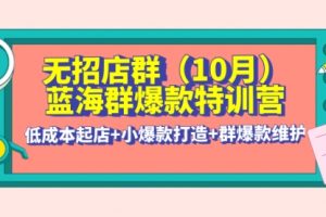 无招店群·蓝海群爆款特训营(10月新课) 低成本起店