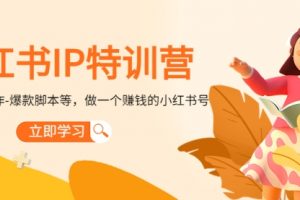 小红书IP特训营：从搭建-制作-爆款等等