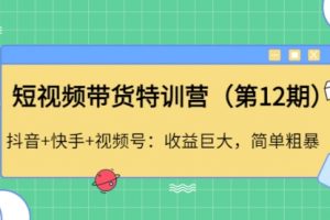 短视频带货特训营（第12期）抖音+快手+视频号