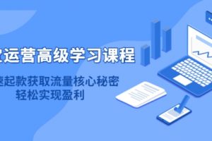 淘宝运营高级学习课程：如何搜索起爆，实现纯搜索盈利！