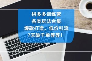 拼多多训练营：各玩法合集，爆款打造，低价引流，7天破千单等等！