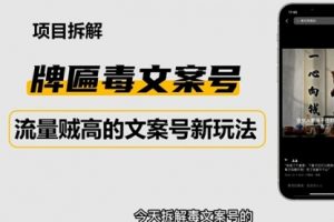 2023抖音快手毒文案新玩法，牌匾文案号，起号快易变现