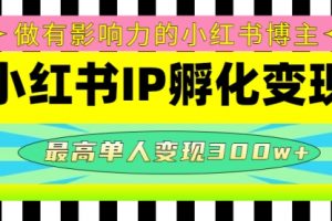 某收费培训-小红书IP孵化变现：做有影响力的小红书博主，最高单人