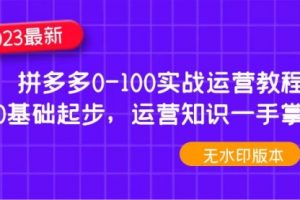 2023拼多多0-100实战运营教程，0基础起步，运营知识一手掌握