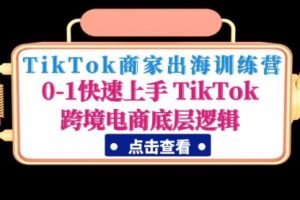 TikTok商家出海训练营：0-1快速上手 TikTok跨境电商底层逻辑