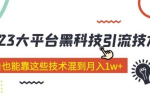 价值4899的2023大平台黑科技引流技术 小白也能靠这些技术混到一个月1w+（29节课）