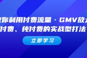 教你利用付费流量·GMV放大，微付费、纯付费的实战型打法！