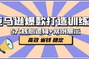 亚马逊爆款打造训练营：5大核心逻辑+案例展示 打造爆款链接 高效 省钱 稳定