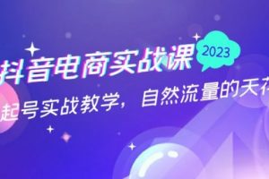 抖音电商实战课：0粉起号实战教学，自然流量的天花板