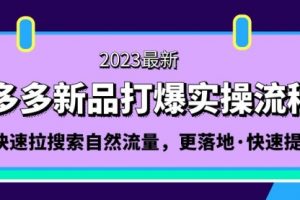 拼多多-新品打爆实操流程：轻松快速拉搜索自然流量，更落地·快速提升!