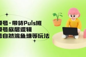 视频号·带货Puls班，视频号底层逻辑，起号自然流鱼塘等玩法