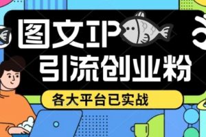 价值1688的ks dy 小红书图文ip引流实操课，日引50-100！各大平台已经实战