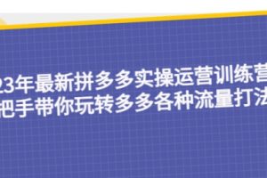 23年最新拼多多实操运营训练营：手把手带你玩转多多各种流量打法！