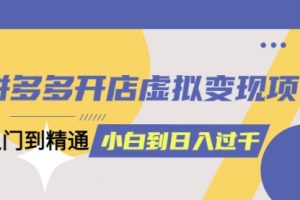 拼多多开店虚拟变现项目：入门到精通 从小白到一天1000（完整版）