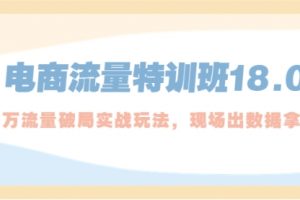 电商流量特训班18.0，直引万流量破局实操玩法，现场出数据拿结果