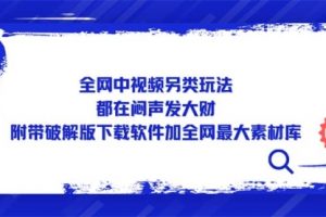 全网中视频另类玩法，都在闷声发大财，附带破解版下载软件加全网最大素材库