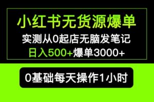 小红书无货源爆单 实测从0起店无脑发笔记 一天500+爆单3000+长期项目可多店