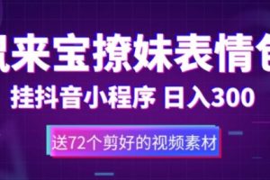 直接搬！通过抖音小程序变现，一天300+（包含72个动画视频素材）