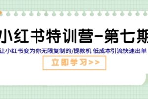 小红书特训营-第七期 让小红书变为你无限复制的/提款机 低成本引流快速出单