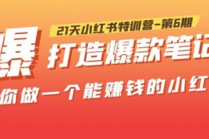 21天小红书特训营-第6期，打造爆款笔记，带你做一个能赚钱的小红书！