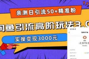 实测日引50+精准粉，闲鱼引流高阶玩法3.0，实操变现3000+