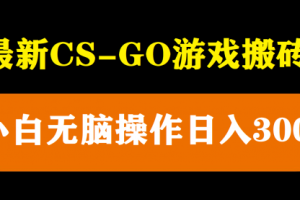 最新csgo游戏搬砖游戏，无需挂机小白无脑也能一天300+