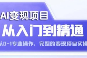 AI从入门到精通 从0-1专业操作，完整的变现项目实操（视频+文档）