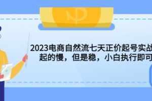 2023电商自然流七天正价起号实战课：起的慢，但是稳，小白执行即可！