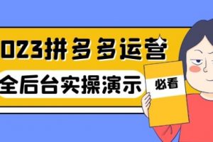 2023拼多多·运营：14节干货实战课，拒绝-口嗨，全后台实操演示