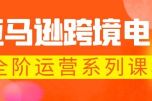 亚马逊跨境-电商全阶运营系列课程 每天10分钟，让你快速成为亚马逊运营高手