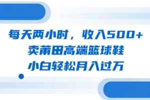 每天两小时，收入500+，卖莆田高端篮球鞋，小白轻松月入过万（教程+素材）