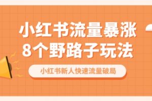 小红书流量-暴涨8个野路子玩法：小红书新人快速流量破局（8节课）