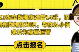 2023淘宝数据化-运营 14式，深度解析数据化知识，帮你从小白成长为高级运营