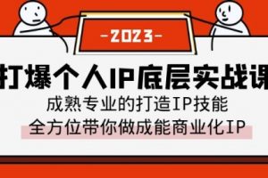 打爆·个人IP底层实战课，成熟专业的打造IP技能 全方位带你做成能商业化IP