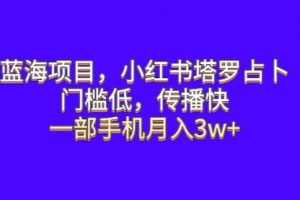 蓝海项目，小红书塔罗占卜，门槛低，传播快，一部手机月入3w+