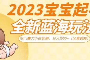 2023宝宝起名全新蓝海玩法，冷门暴力小白实操，日入1000+（全套教程）【揭秘】