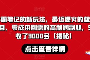 学霸笔记的新玩法，最近爆火的蓝海项目，零成本刚需的高利润副业，5天收了3000多【揭秘】