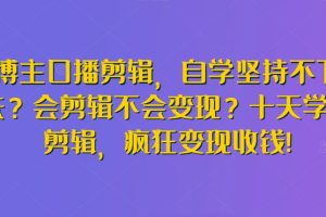 博主口播剪辑，自学坚持不下去？会剪辑不会变现？十天学会剪辑，疯狂变现收钱!